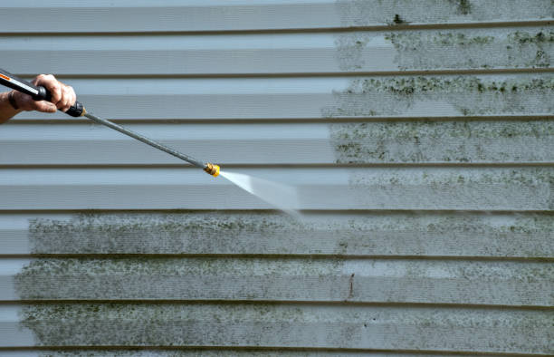 Best Sidewalk and Walkway Cleaning  in Nassau Bay, TX
